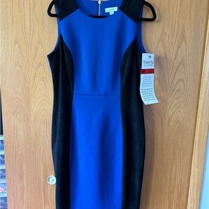 Calvin Klein Women's Blue and Black Dress
